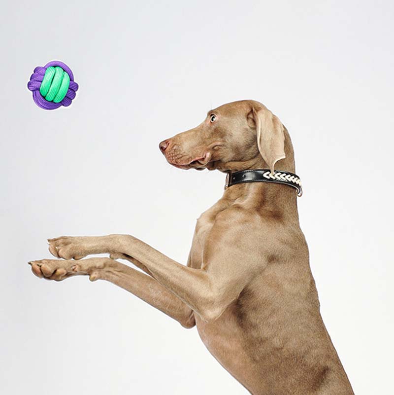 Jouet boule à nœuds pour chien - Image 5