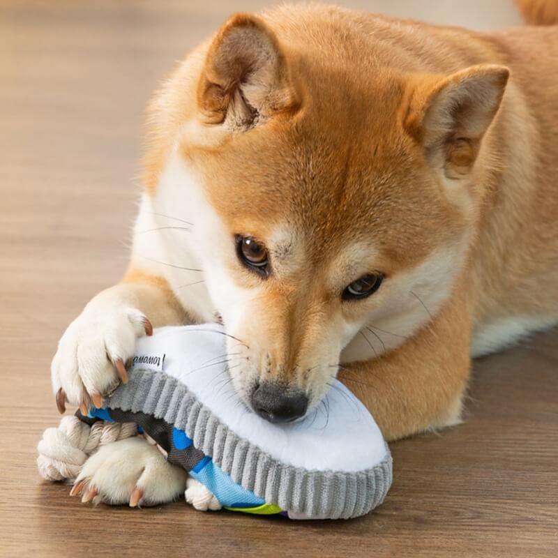 Jouet en Corde de Coton pour Chiens - Image 3