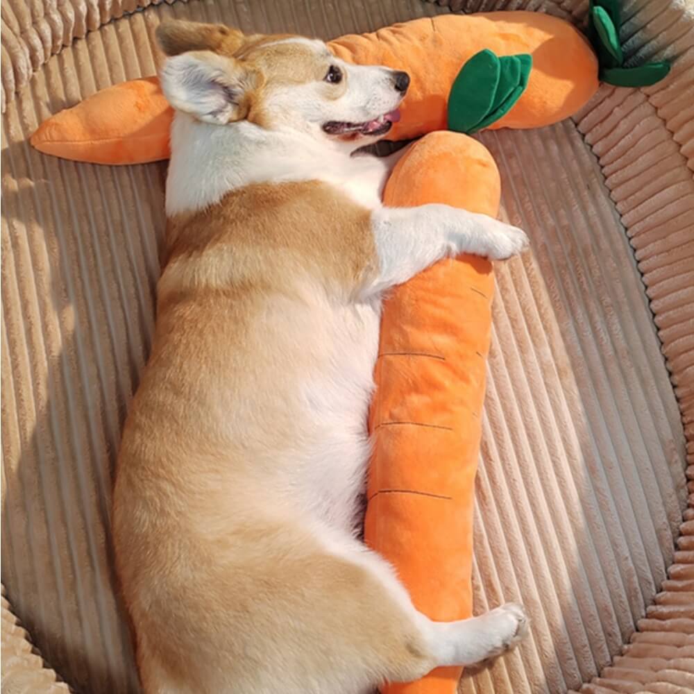 Jouet grinçant en peluche pour chien en forme de carotte - Image 3