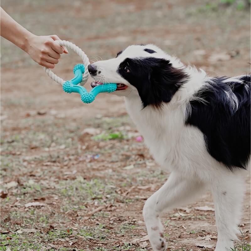Jouet Interactif à Tirer pour Chien Nettoyage des Dents en Caoutchouc - Image 2