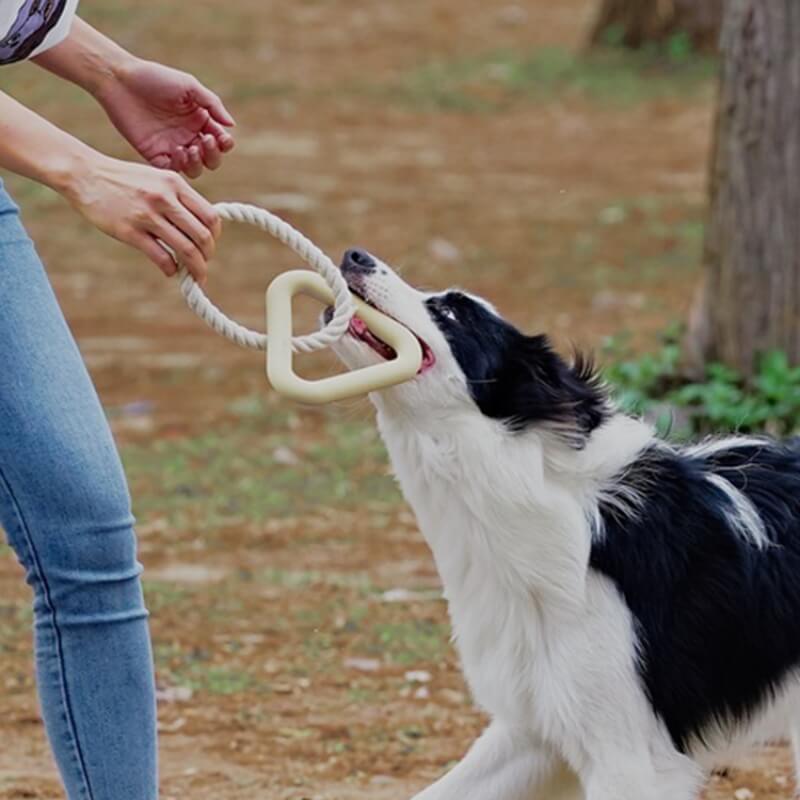 Jouet Interactif à Tirer pour Chien Nettoyage des Dents en Caoutchouc - Image 3