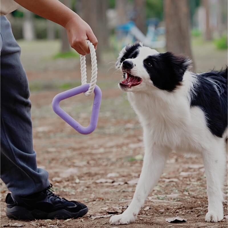 Jouet Interactif à Tirer pour Chien Nettoyage des Dents en Caoutchouc - Image 4