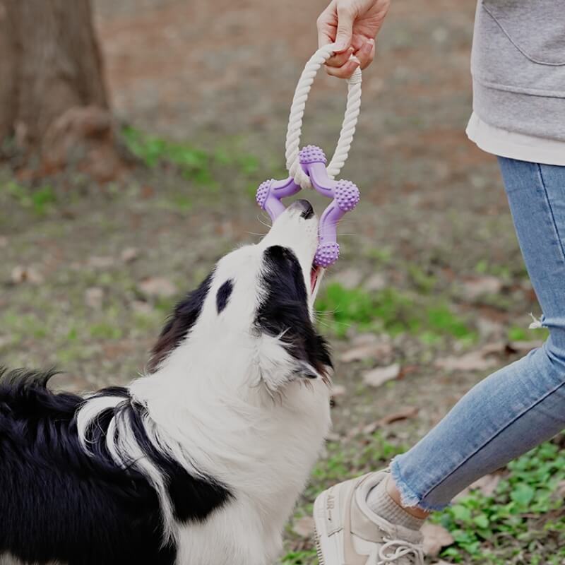 Jouet Interactif à Tirer pour Chien Nettoyage des Dents en Caoutchouc - Image 5
