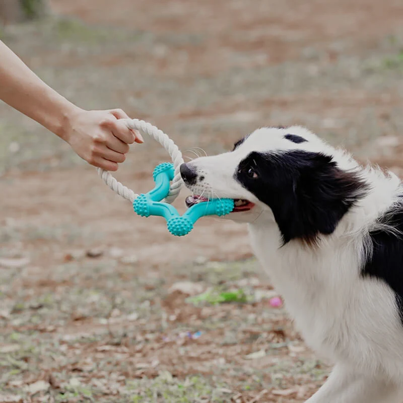 Jouet Interactif à Tirer pour Chien Nettoyage des Dents en Caoutchouc - Image 8