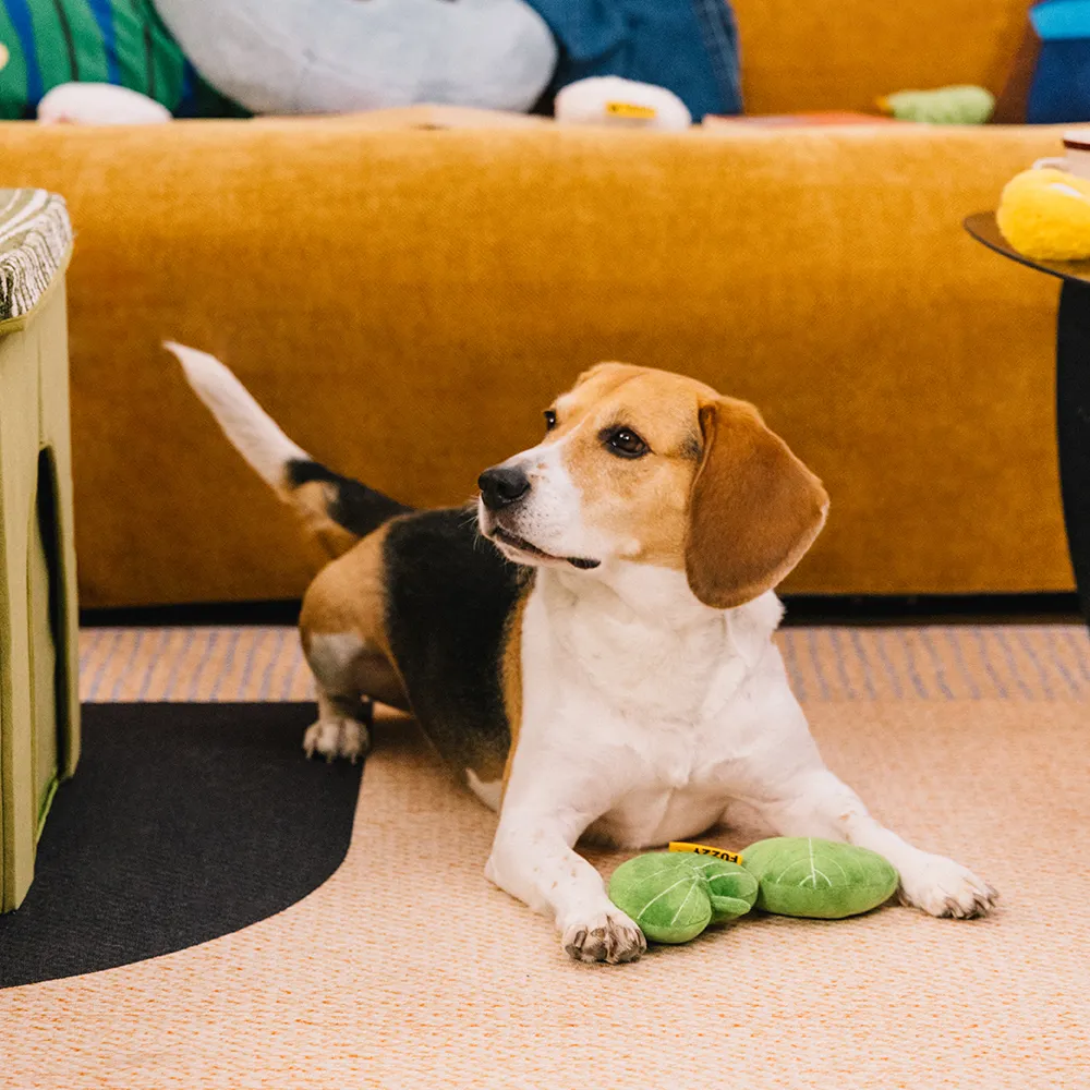 Jouet pour chien en peluche en forme de feuille avec couineur - Funnyfuzzy SnugNest - Image 6