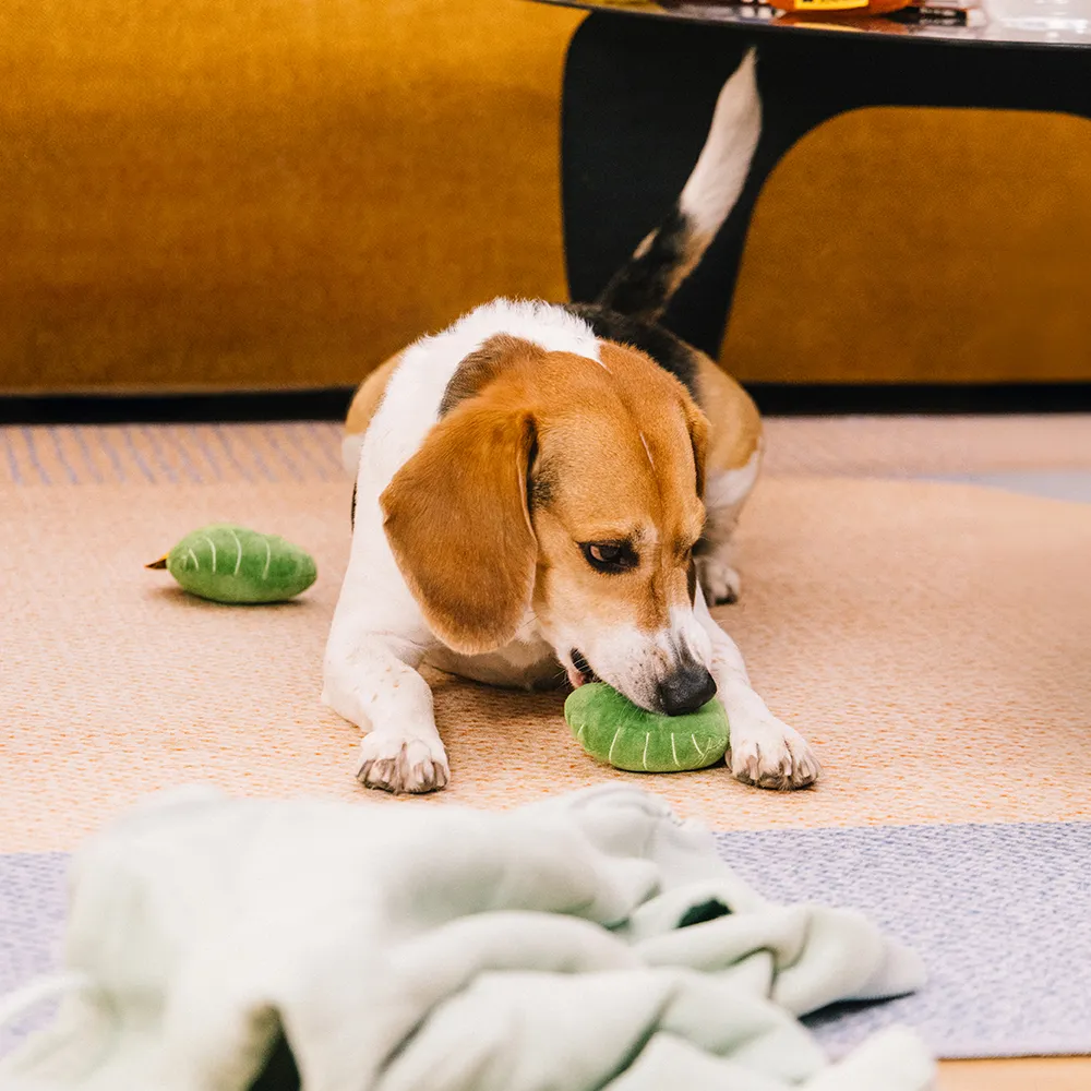 Jouet pour chien en peluche en forme de feuille avec couineur - Funnyfuzzy SnugNest - Image 7