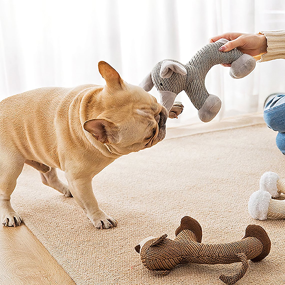 Jouets à mâcher animaux grinçants pour chien - Image 3