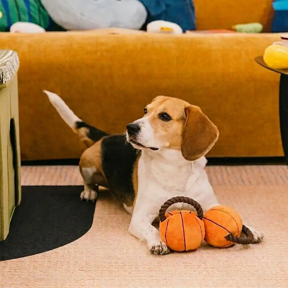 Jouets à mâcher en corde pour chiens Fun Balls - Image 10