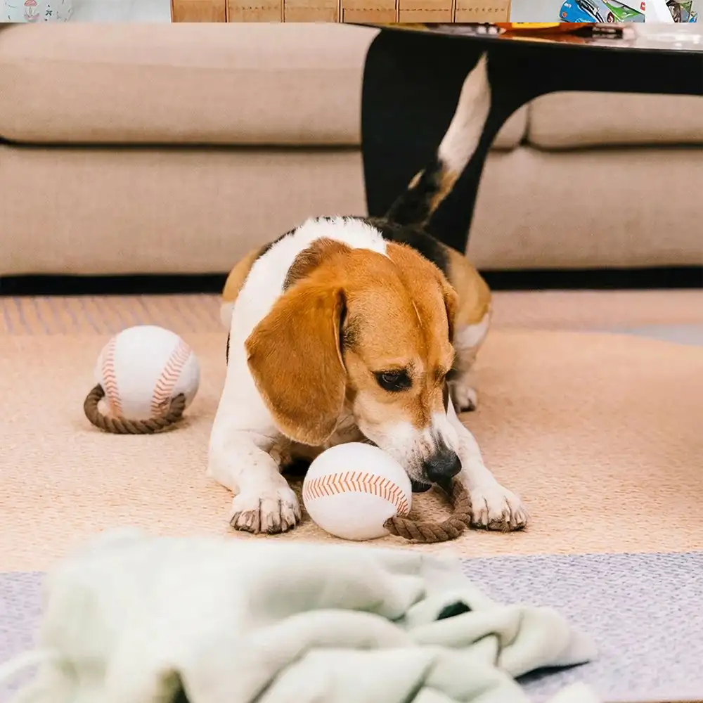 Jouets à mâcher en corde pour chiens Fun Balls - Image 11
