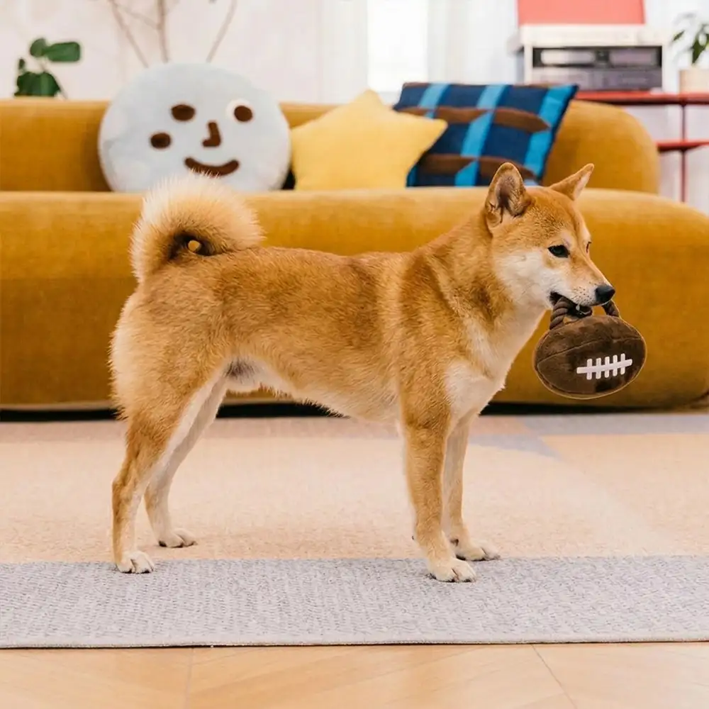 Jouets à mâcher en corde pour chiens Fun Balls - Image 12
