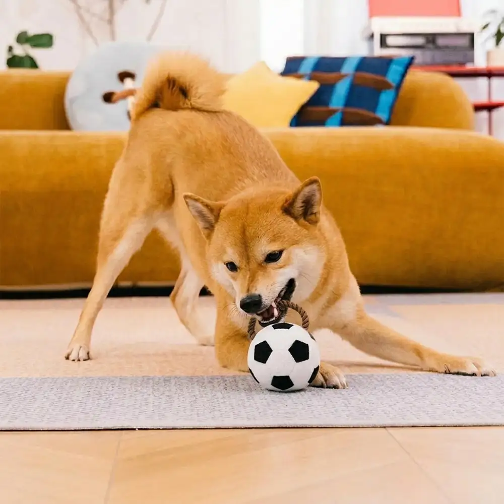 Jouets à mâcher en corde pour chiens Fun Balls - Image 3