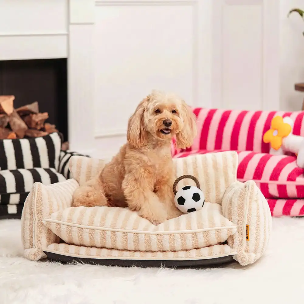 Jouets à mâcher en corde pour chiens Fun Balls - Image 9