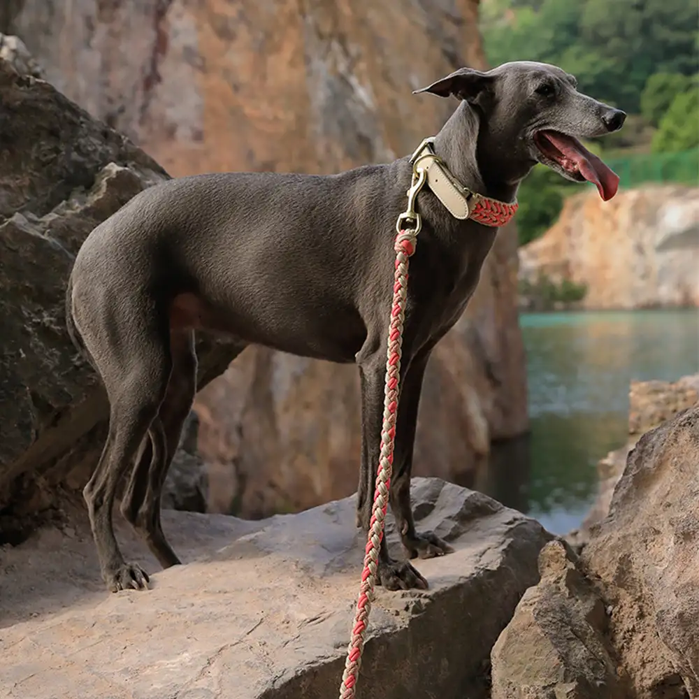 La laisse pour chien en nylon tissée à la main et de qualité supérieure pour chiens de taille moyenne et grande. - Image 6