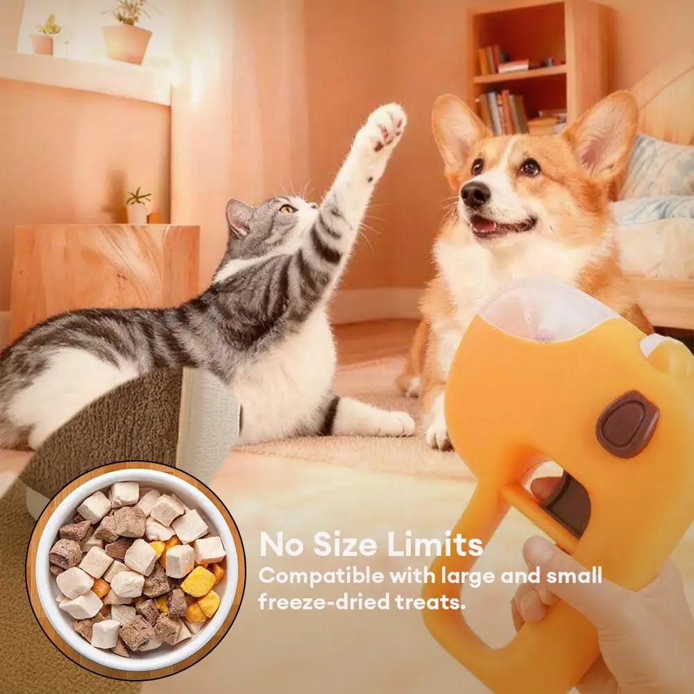 Lanceur de friandises pour chats - Image 9