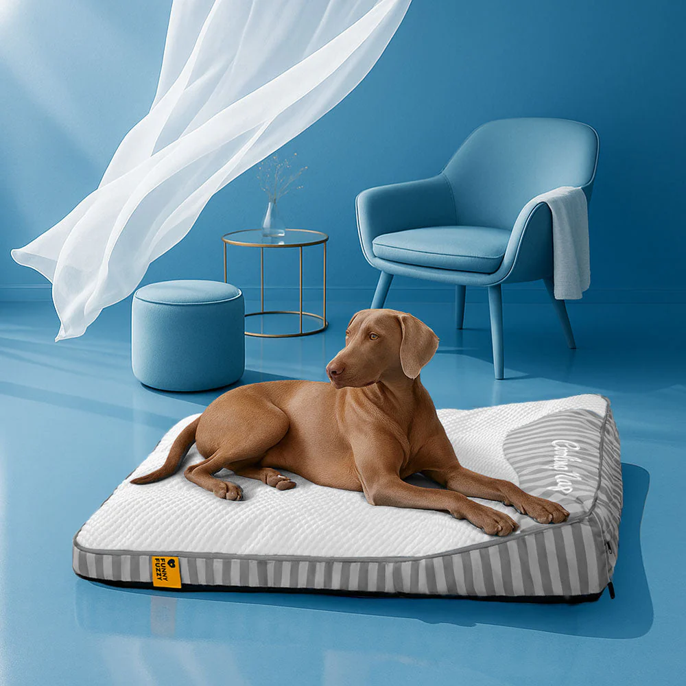 Lit orthopédique pour chien rectangulaire extra large, lavable et refroidissant - Extérieur - Image 15