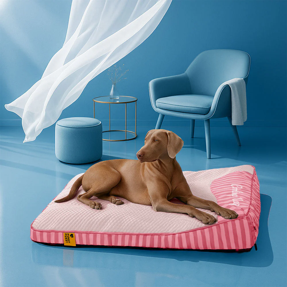 Lit orthopédique pour chien rectangulaire extra large lavable - Sieste rafraîchissante - Image 20