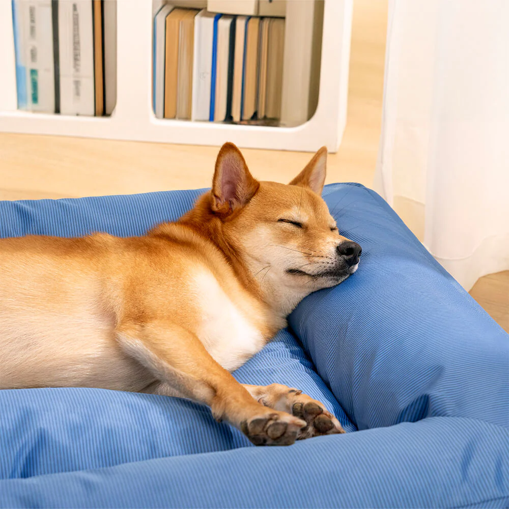 Lit orthopédique pour grand chien imperméable et soutien - Image 10