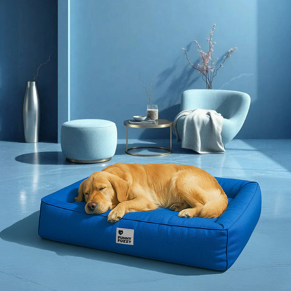 Lit orthopédique pour grand chien imperméable et soutien - Image 13
