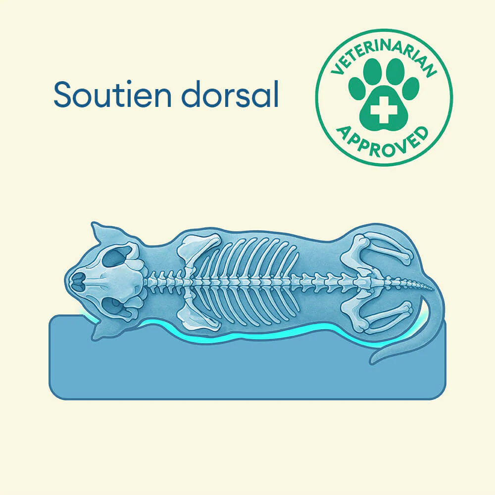 Lit orthopédique pour grand chien imperméable et soutien - Image 6
