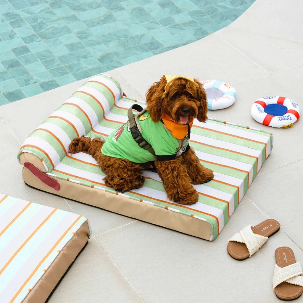 Lit orthopédique tapis rafraichissant grands chien - Chill Nest - Image 11