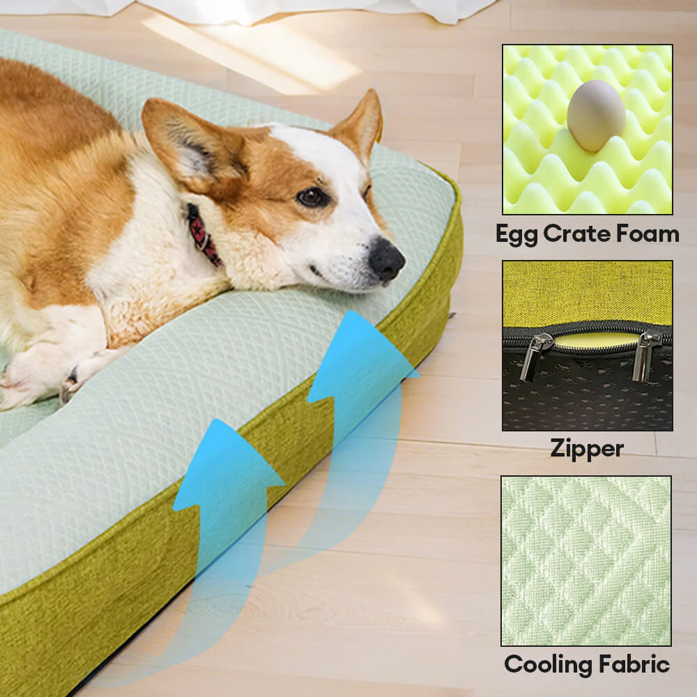 Lit Sofa pour Chien Grand et Lavable Orthopédique Tapis Rafraichissant Chien - Extérieur - Image 7