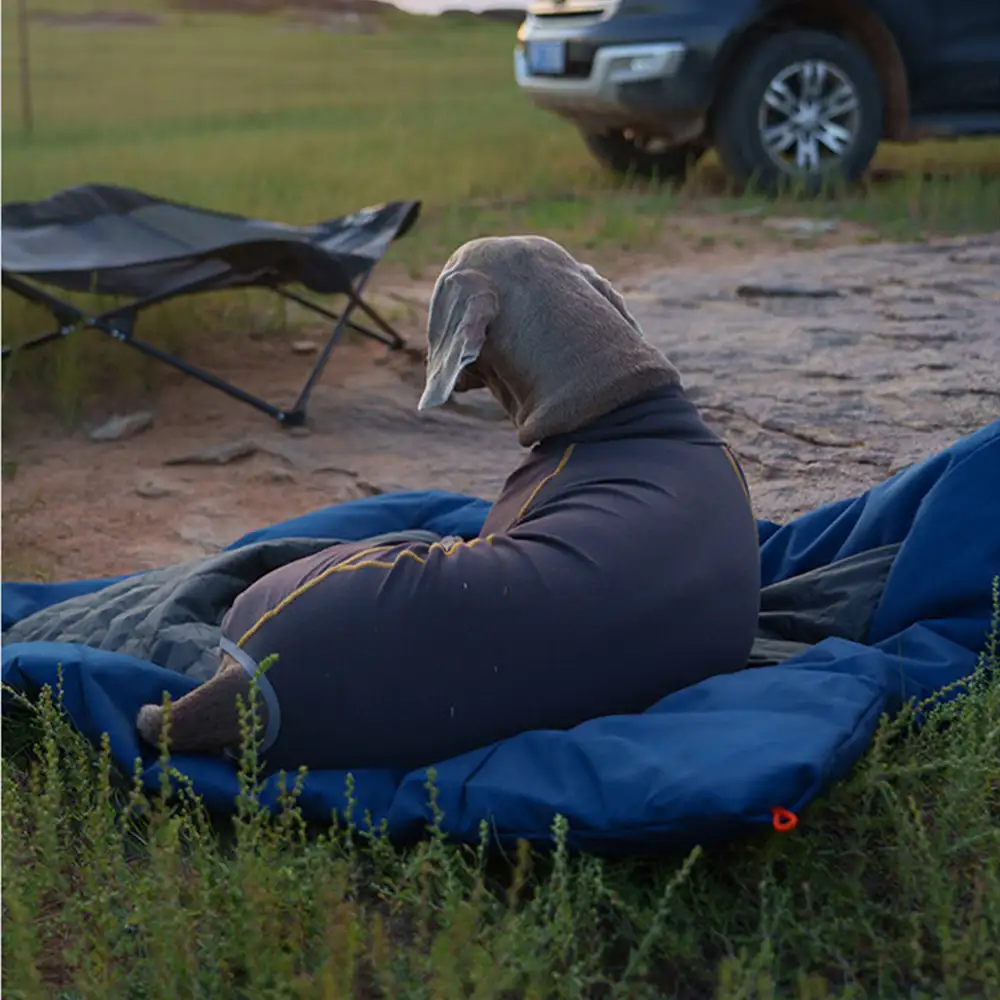 Litière portable pour chien imperméable et résistante à l'humidité pour camping en plein air. - Image 3