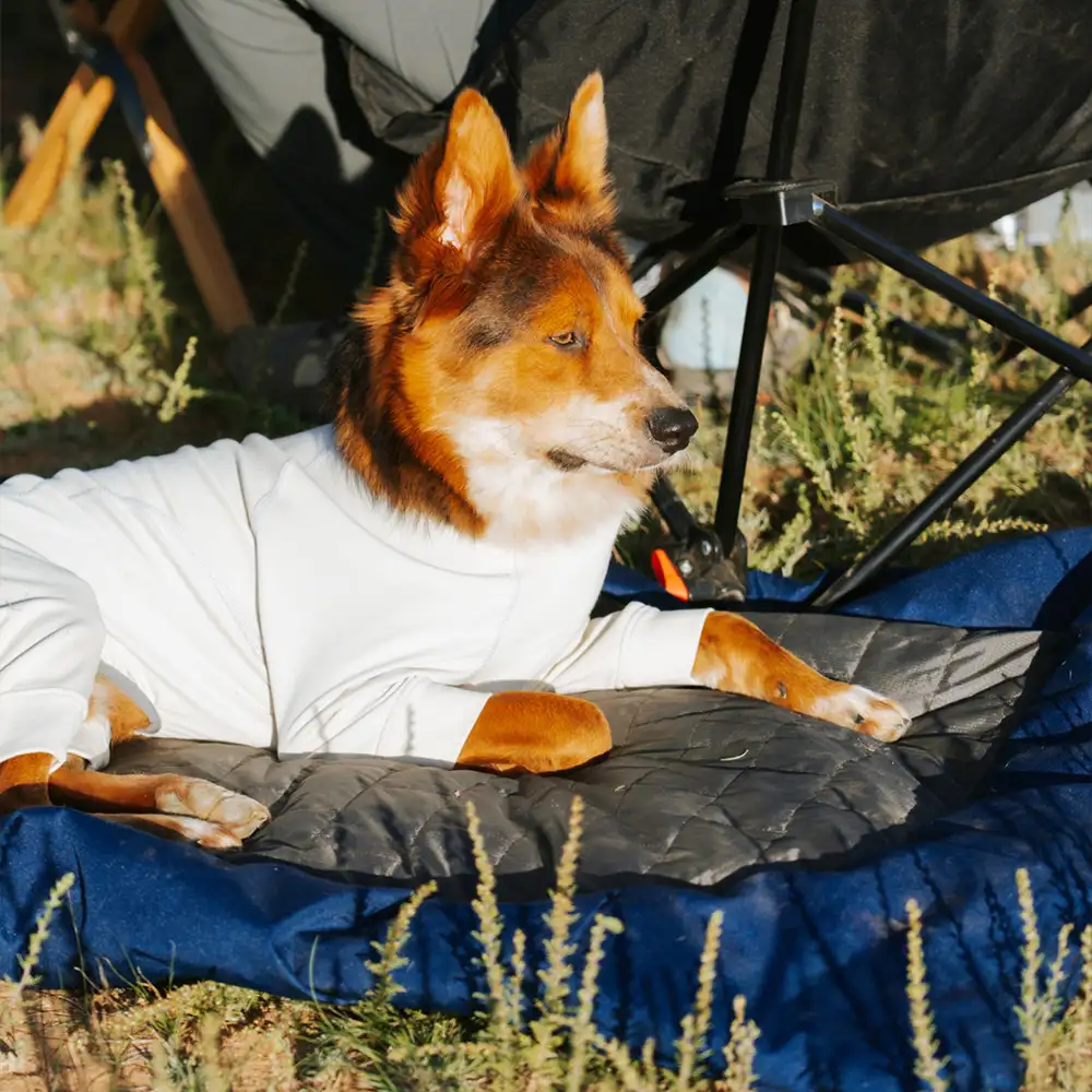 Litière portable pour chien imperméable et résistante à l'humidité pour camping en plein air. - Image 4