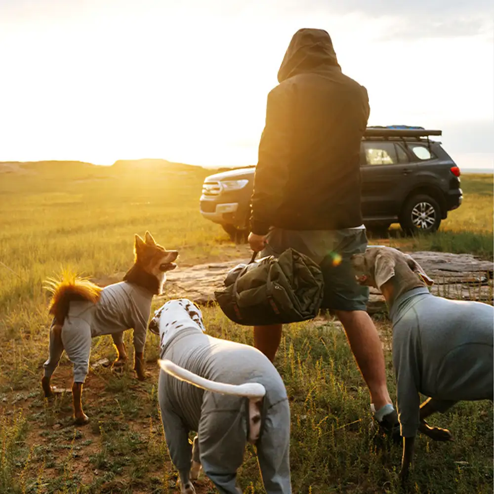 Litière portable pour chien imperméable et résistante à l'humidité pour camping en plein air. - Image 7