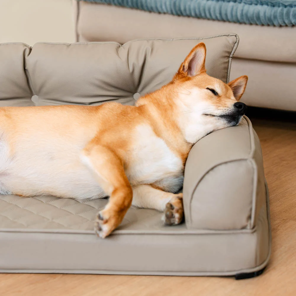 Luxe lit pour chien orthopédique grand en cuir synthétique pliable - Extérieur - Image 3
