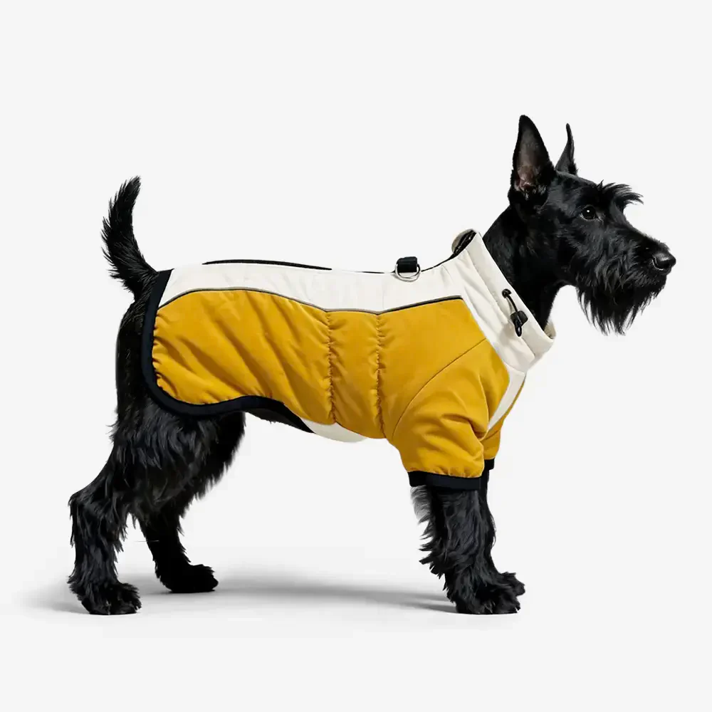 Manteau pour chien chaud en polaire à blocs de couleurs rétro avec boucle pour laisse. - Image 8