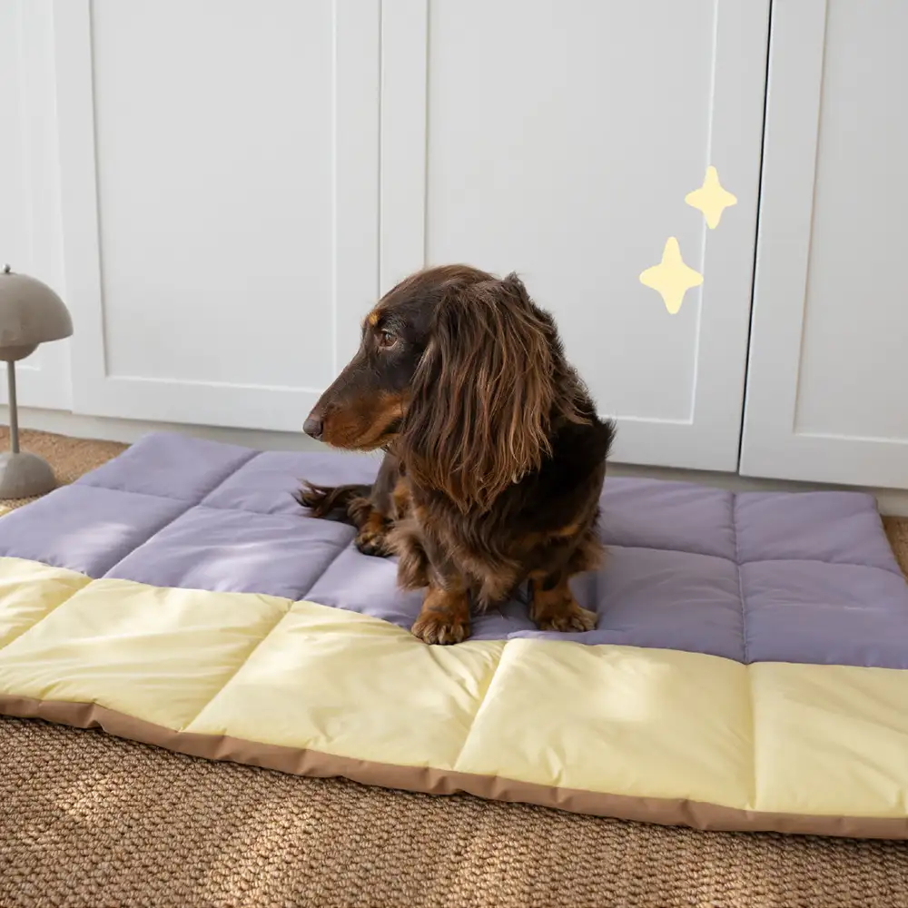 Matelas pour chien pliable, portable et réversible, résistant à l'eau, pour les voyages et le camping en extérieur. - Image 11