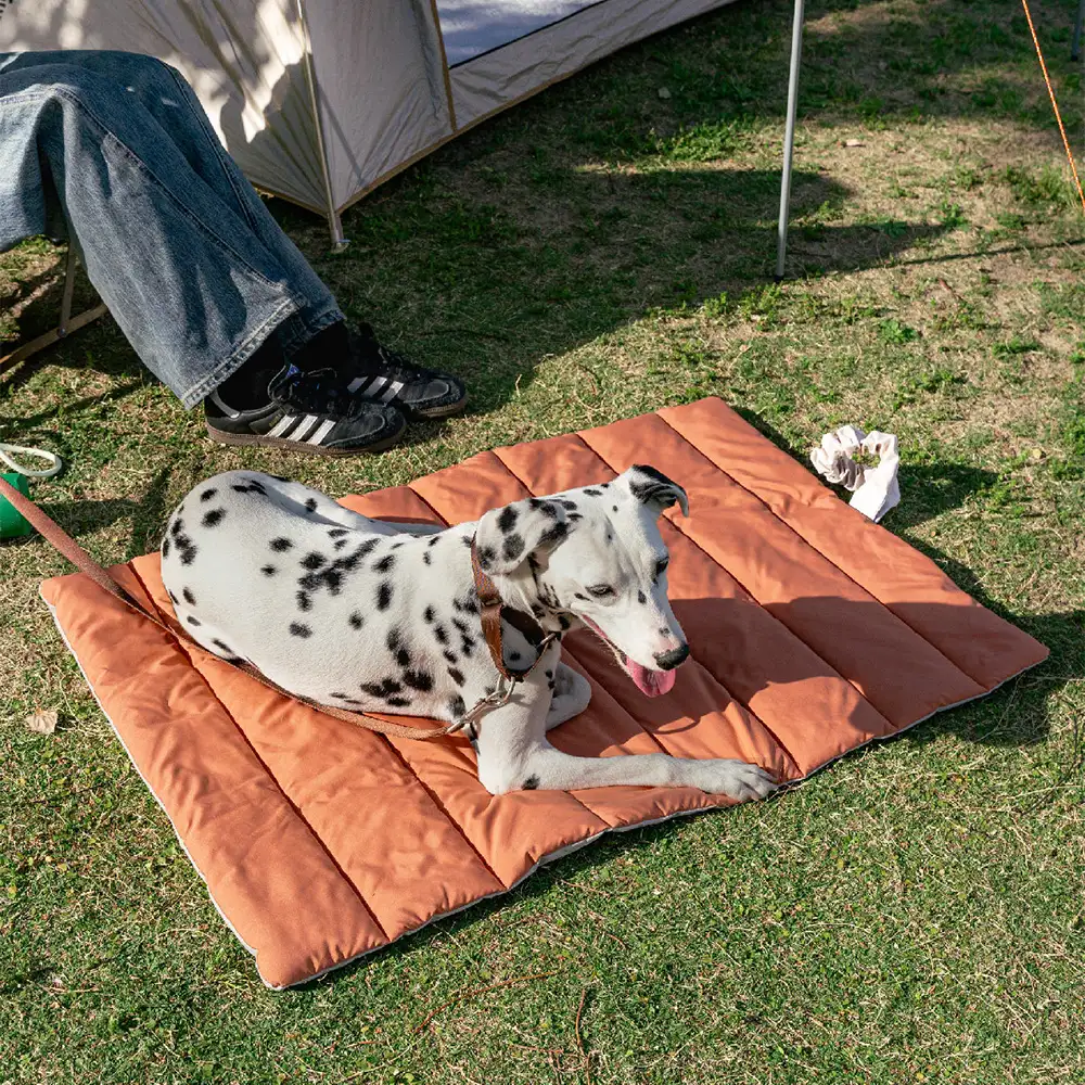 Matelas pour chien pliable, portable et réversible, résistant à l'eau, pour les voyages et le camping en extérieur. - Image 16
