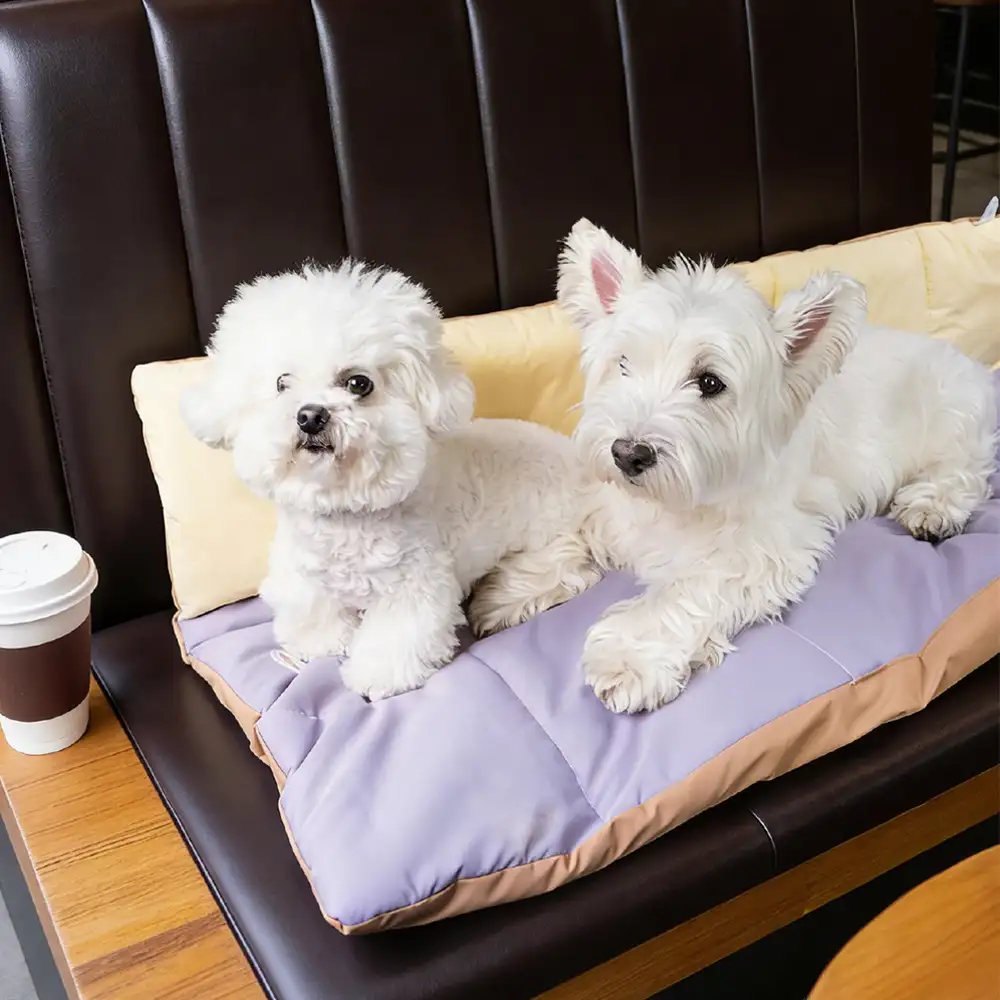 Matelas pour chien pliable, portable et réversible, résistant à l'eau, pour les voyages et le camping en extérieur. - Image 9
