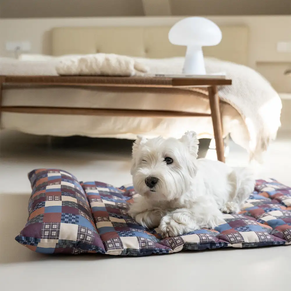 Oreiller de chien à double face respirant tout-temps avec support pour le cou - Image 15