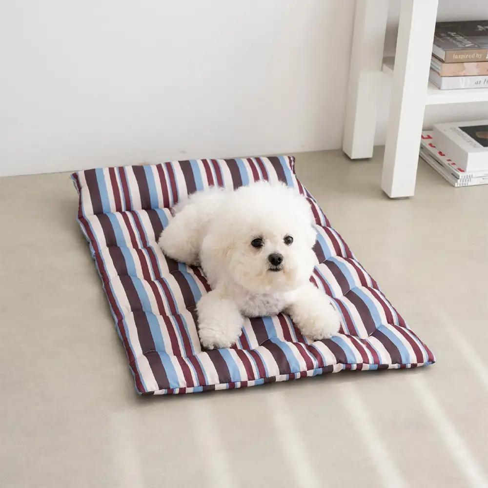 Oreiller de chien à double face respirant tout-temps avec support pour le cou - Image 16