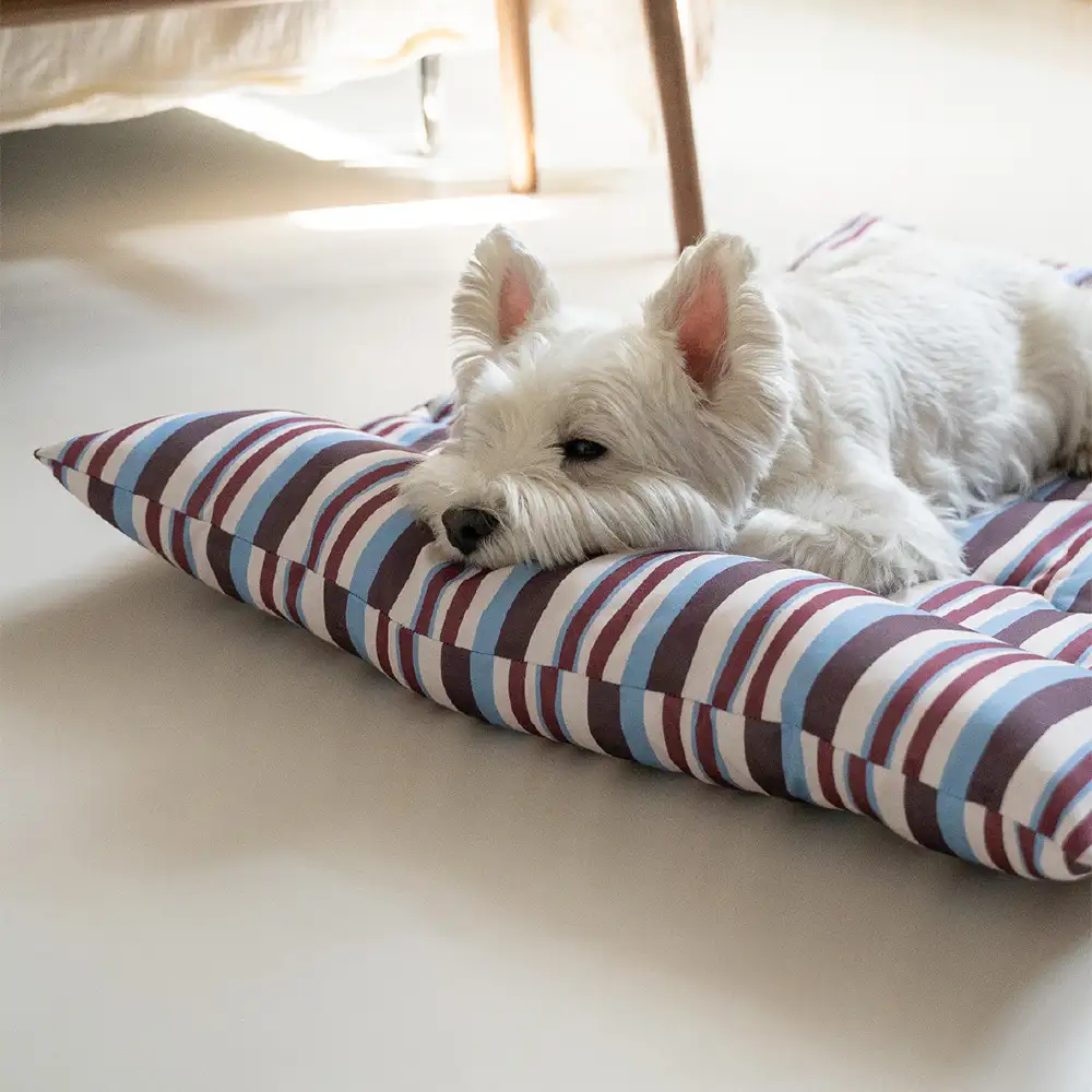 Oreiller de chien à double face respirant tout-temps avec support pour le cou - Image 4