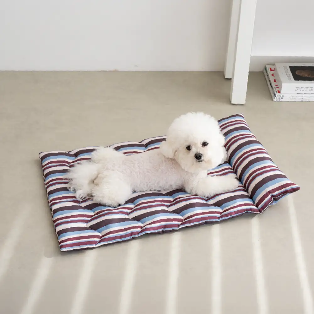 Oreiller de chien à double face respirant tout-temps avec support pour le cou - Image 9