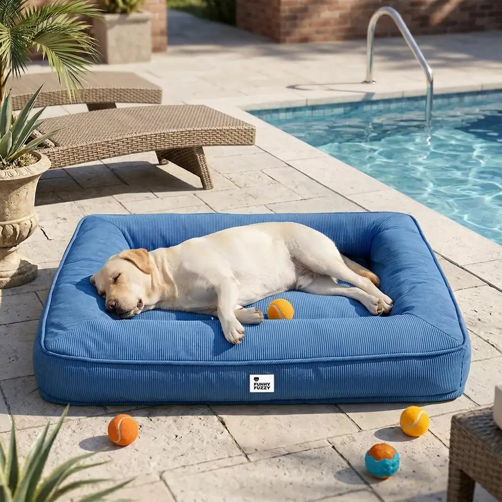 Lit orthopédique pour grand chien imperméable et soutien - Image 13