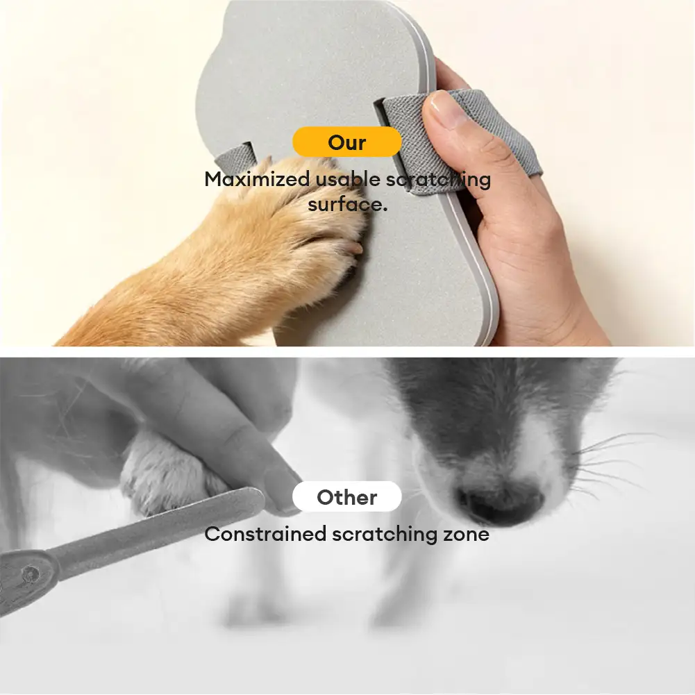 Planche à griffer pour chiens portable - Image 5