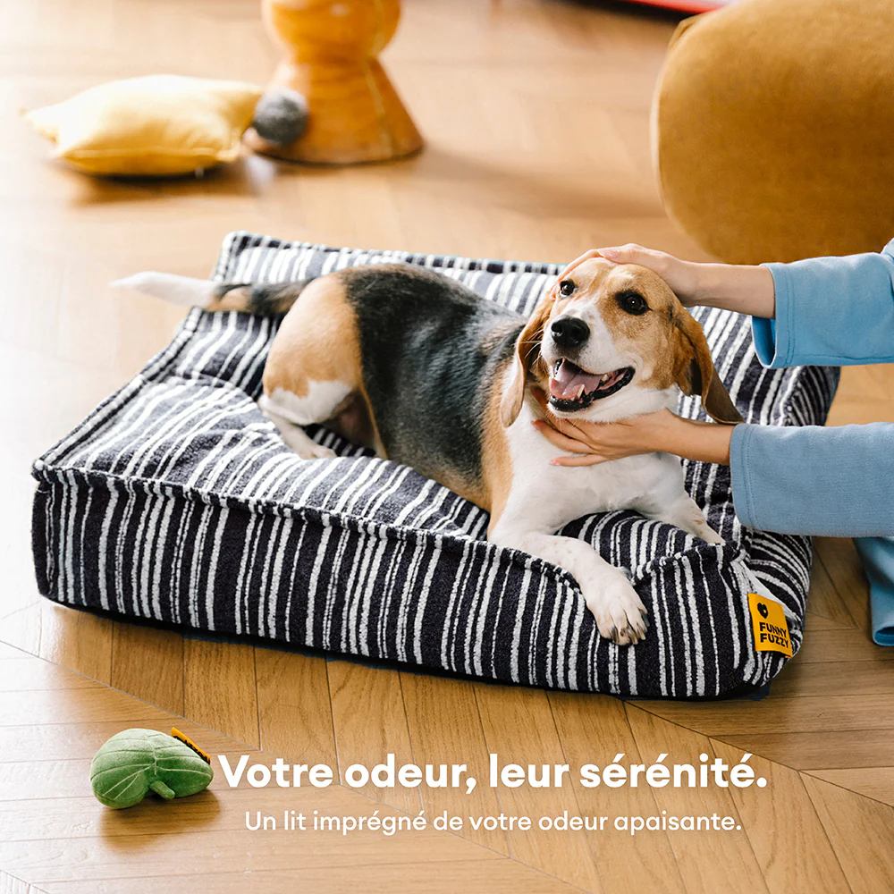 Pouf de rangement durable et lit pour chien - Funnyfuzzy SnugNest - Image 4