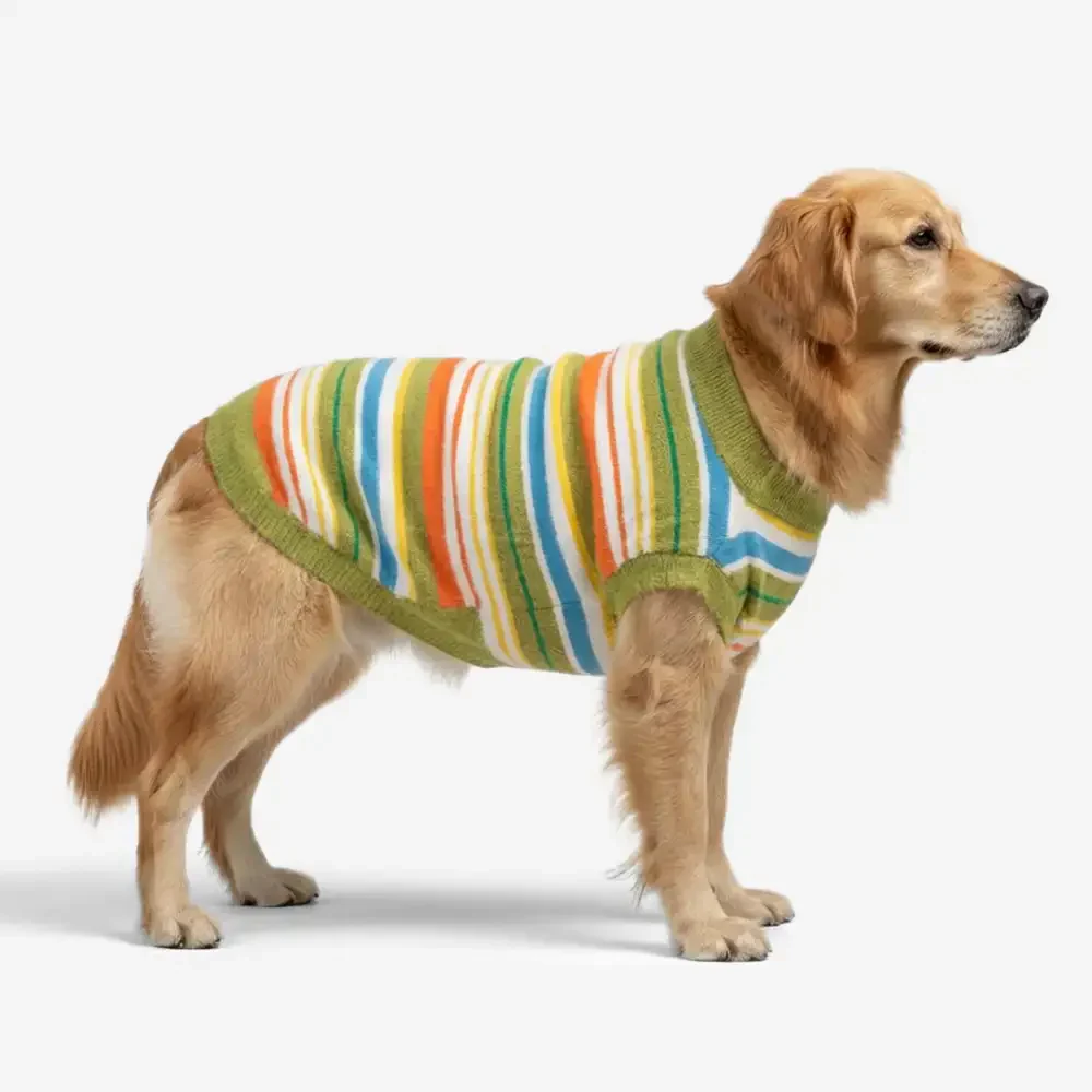 Pull pour chien à rayures bicolores - Convient aux grands chiens - Image 3