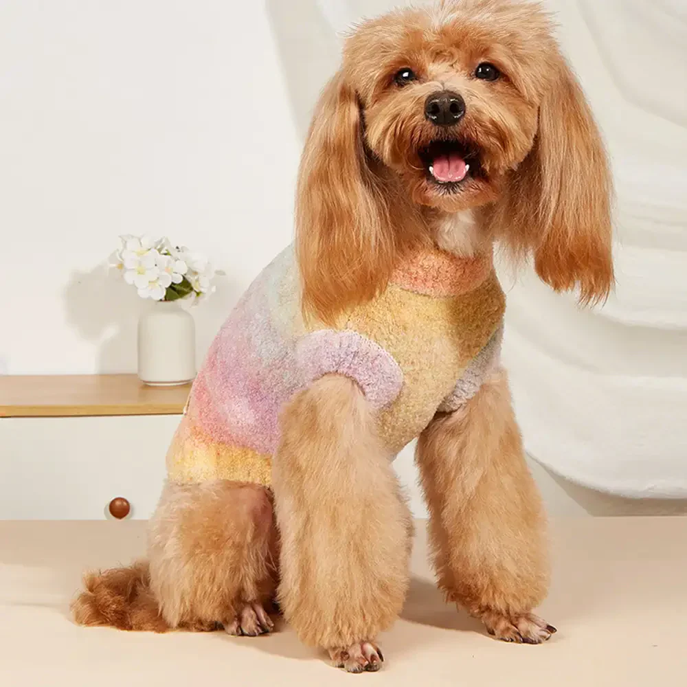 Pull pour chien en tricot épais, doux et chaud - Conçu pour teckels, bulldogs français et carlins. - Image 16