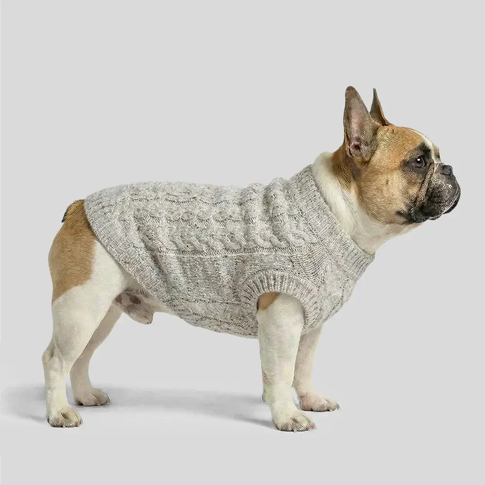 Pull pour chien en tricot épais, doux et chaud - Conçu pour teckels, bulldogs français et carlins. - Image 2