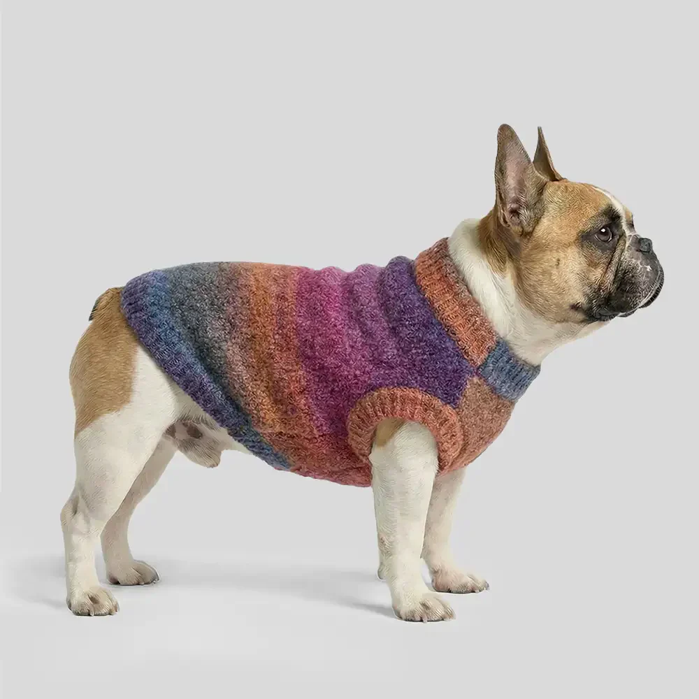 Pull pour chien en tricot épais, doux et chaud - Conçu pour teckels, bulldogs français et carlins. - Image 4