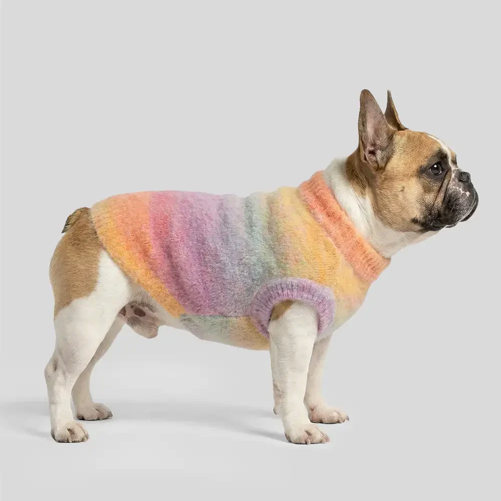 Pull pour chien en tricot épais, doux et chaud - Conçu pour teckels, bulldogs français et carlins. - Image 5