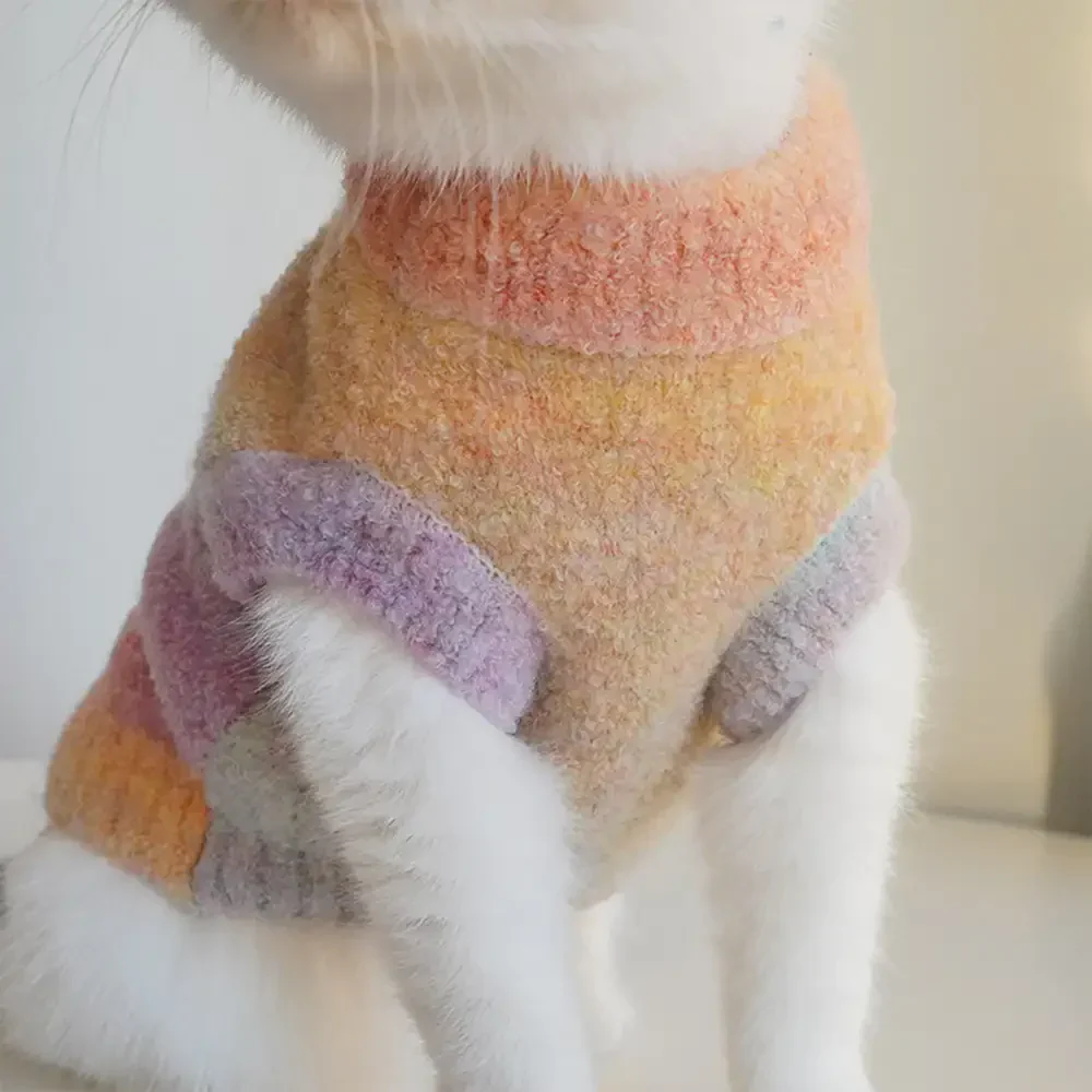 Pull pour chien en tricot épais, doux et chaud - Conçu pour teckels, bulldogs français et carlins. - Image 8