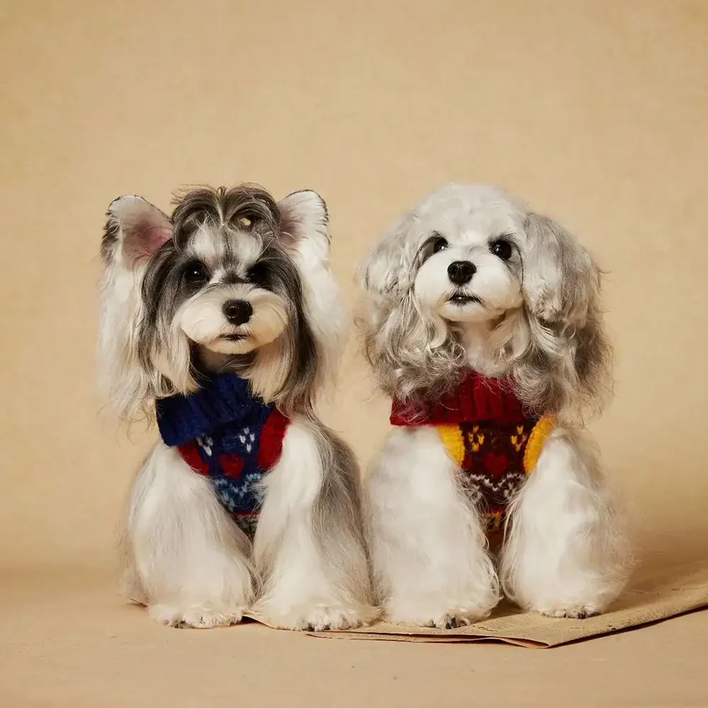 Pull pour chien sans manches en tricot Jacquard épais – Conçu pour les Teckels, Bouledogues français et Carlin. - Image 6