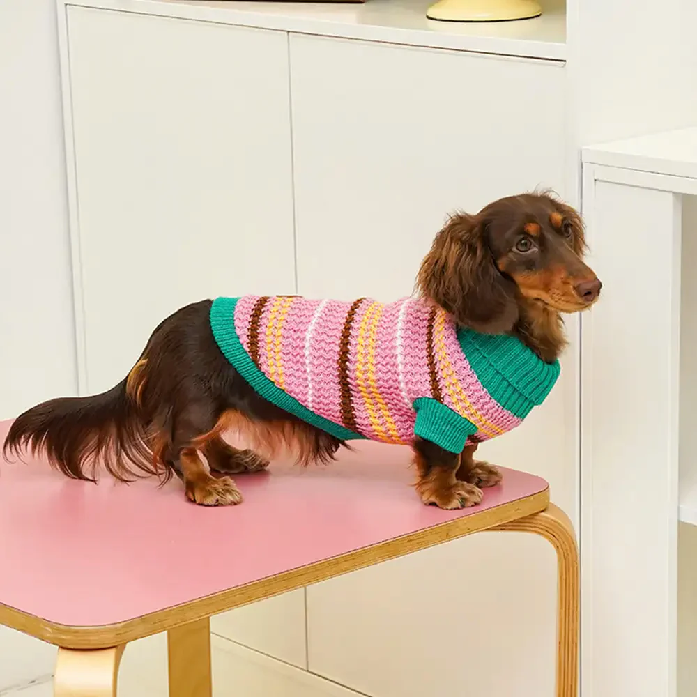 Pull pour chien teckel à rayures en blocs de couleurs - Image 10