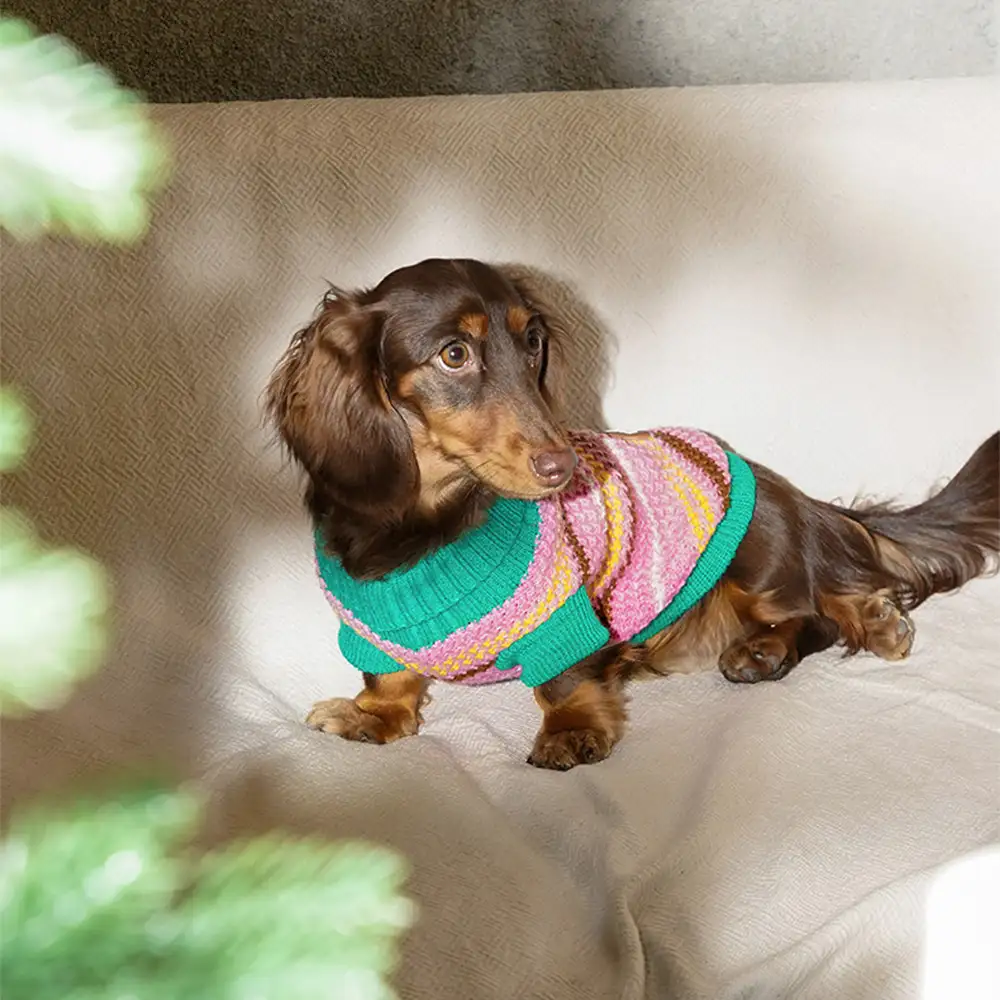 Pull pour chien teckel à rayures en blocs de couleurs - Image 11