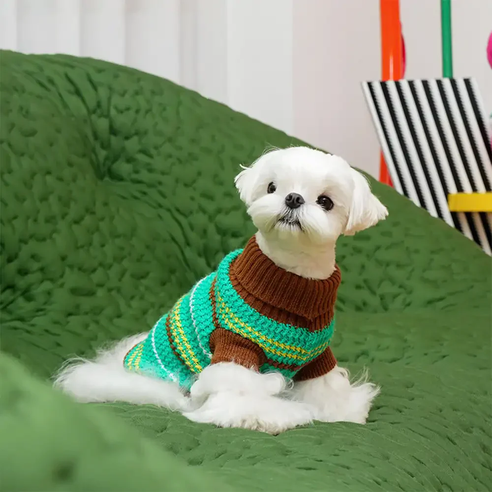 Pull pour chien teckel à rayures en blocs de couleurs - Image 13